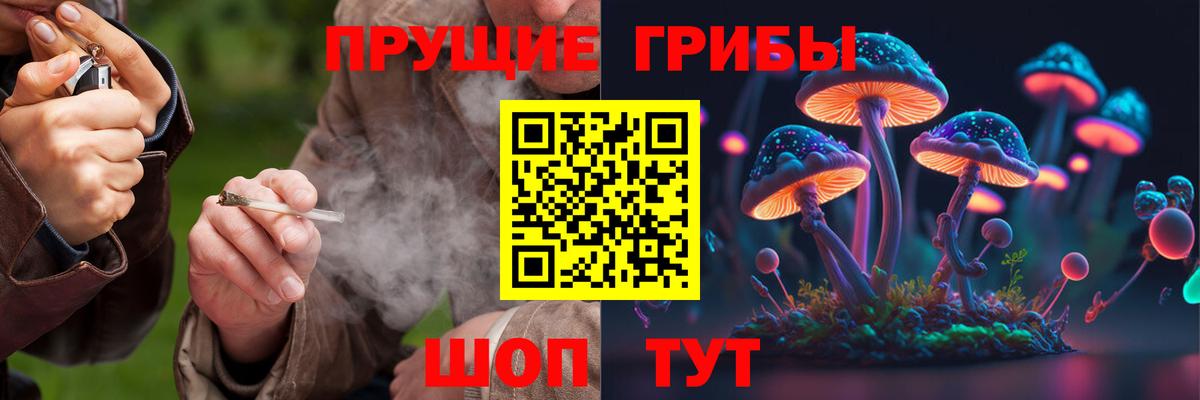 Галлюциногенные грибы прущие грибы  Вход с VPN  Сургут 
