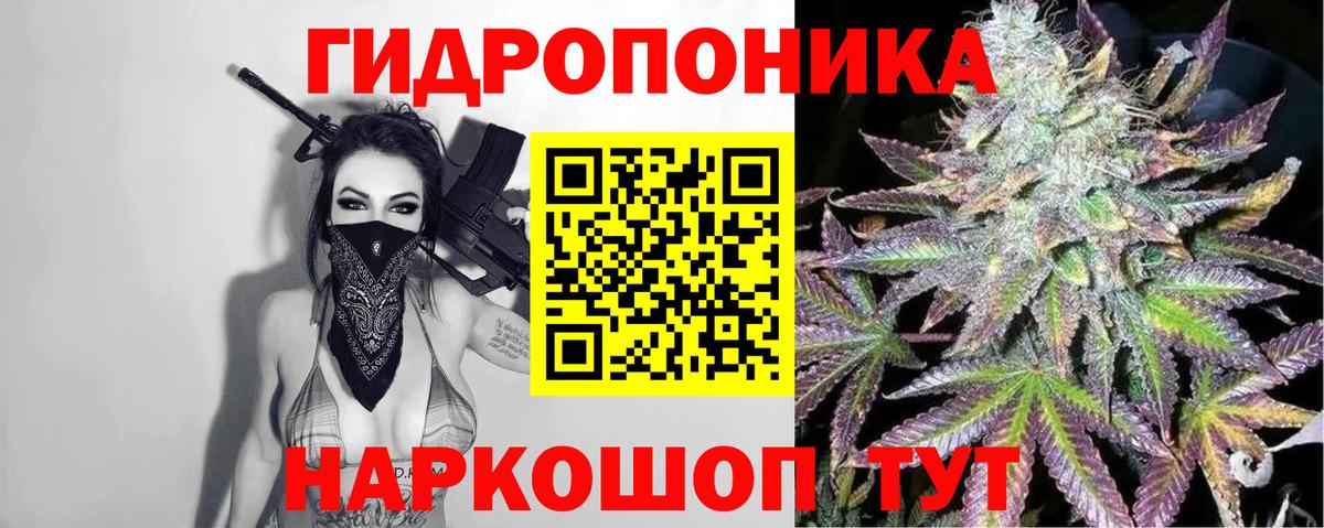 Шишки марихуана индика  Конопля марихуана  Вход с VPN  Сургут  Каннабис ГИДРОПОН  Марихуана сатива 